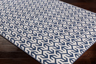 Surya Lagom LGM-2300 Area Rug Corner Shot