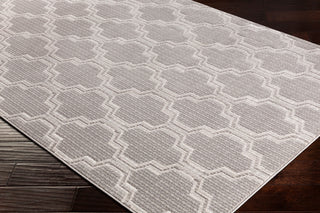 Surya Lagom LGM-2306 Area Rug Corner Shot