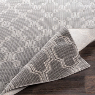 Surya Lagom LGM-2306 Area Rug 