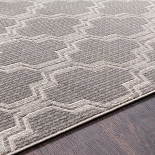 Surya Lagom LGM-2306 Area Rug Detail