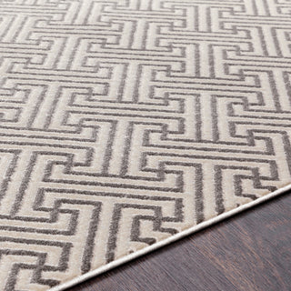 Surya Lagom LGM-2310 Area Rug Detail