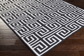 Surya Lagoon LGO-2026 Hand Woven Area Rug 5x8 Corner