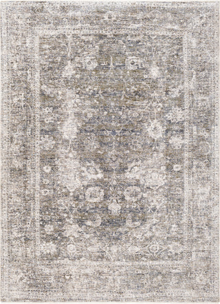 Surya Lincoln LIC-2304 Area Rug main image