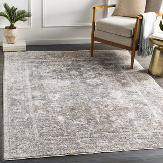 Surya Lincoln LIC-2304 Area Rug