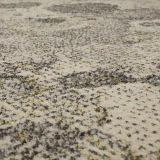 Karastan Omni Lichen Grey Area Rug Lifestyle Image