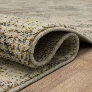 Karastan Omni Lichen Grey Area Rug Lifestyle Image