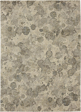 Karastan Omni Lichen Grey Area Rug main image