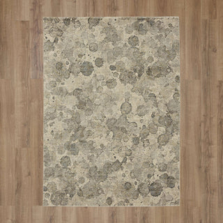 Karastan Omni Lichen Grey Area Rug Main Image