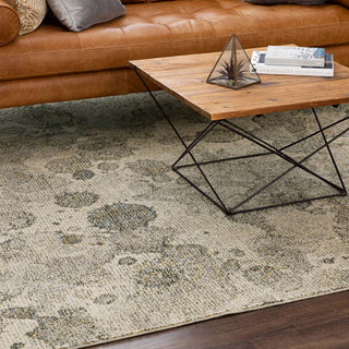 Karastan Omni Lichen Grey Area Rug Lifestyle Image Feature