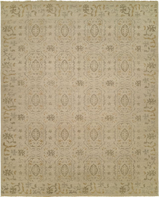 Ancient Boundaries Lift LIF-05 Area Rug main image