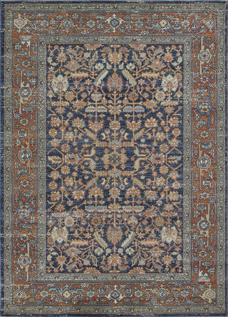 Momeni Lillihan LIH-1 Navy Area Rug main image