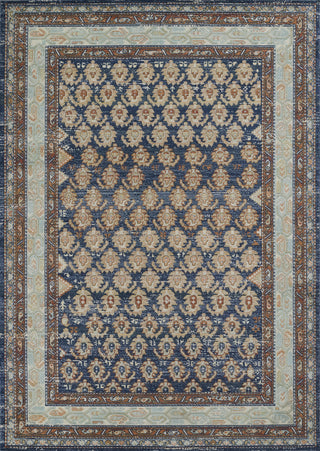 Momeni Lillihan LIH-4 Navy Area Rug main image