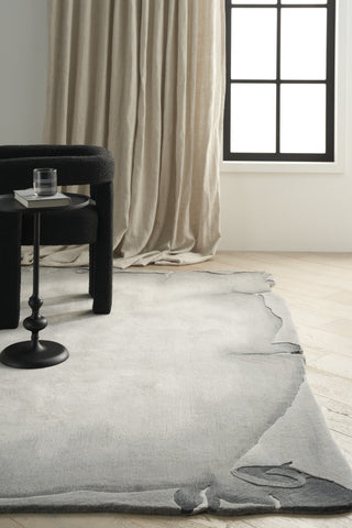 Nourison Limted Edition LIM01 Grey Area Rug Main Image