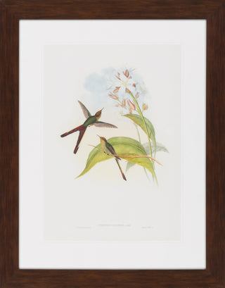 Surya Wall Decor LJ-4013 Green by John Gould 26 X 33