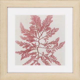 Surya Wall Decor LJ-4030 Red by Vision Studio main image