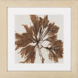 Surya Wall Decor LJ-4035 Brown by Vision Studio main image