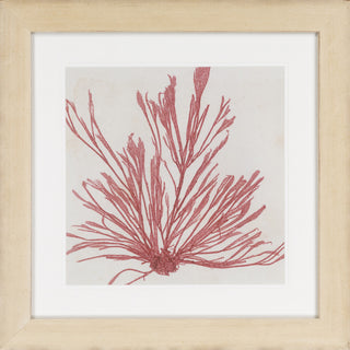 Surya Wall Decor LJ-4038 Red by Vision Studio main image