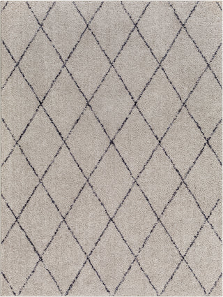 Surya Lykke LKK-2302 Taupe Area Rug main image