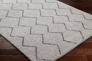 Surya Lykke LKK-2304 Sage Area Rug Corner Shot