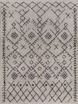 Surya Lykke LKK-2305 Taupe Area Rug main image