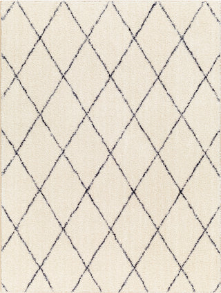 Surya Lykke LKK-2306 Beige Area Rug main image