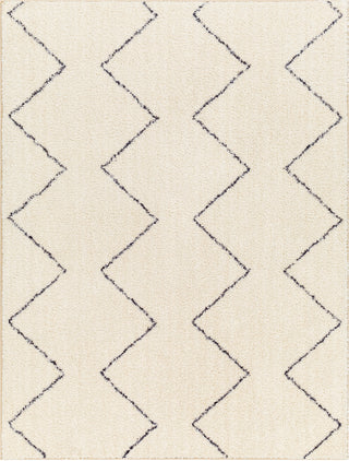 Surya Lykke LKK-2307 Beige Area Rug main image