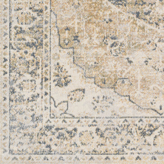 Surya Lillian LLL-2309 Area Rug Swatch