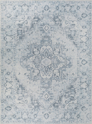 Surya Lillian LLL-2334 Area Rug main image