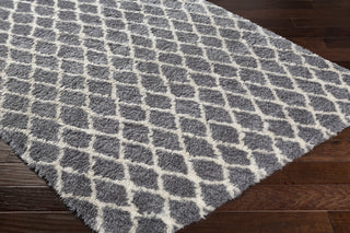 Surya Llana LLN-1000 Grey/White Area Rug Closeup