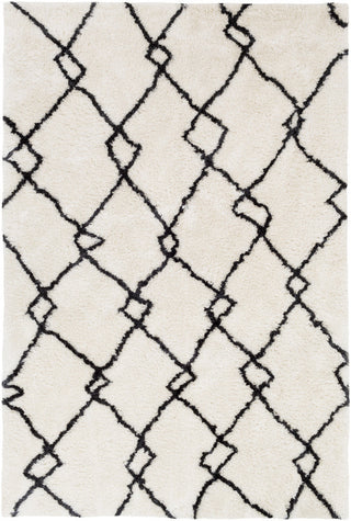 Surya Llana LLN-1003 White/Black Area Rug main image