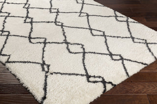 Surya Llana LLN-1003 White/Black Area Rug Closeup