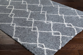 Surya Llana LLN-1004 Area Rug Corner Image Feature