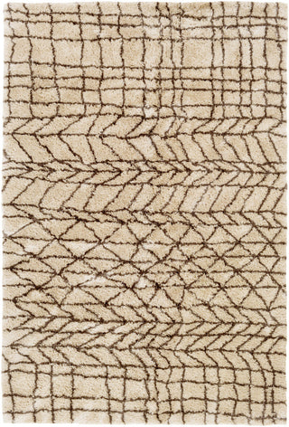 Surya Llana LLN-1005 Neutral/Brown Area Rug main image