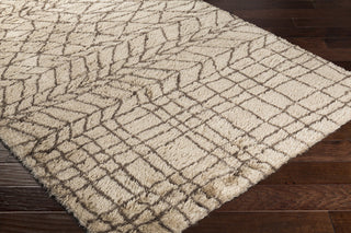 Surya Llana LLN-1005 Neutral/Brown Area Rug Closeup