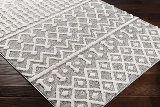 Surya La Maison LMS-2307 Area Rug