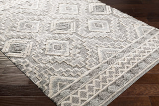 Surya La Maison LMS-2310 Area Rug
