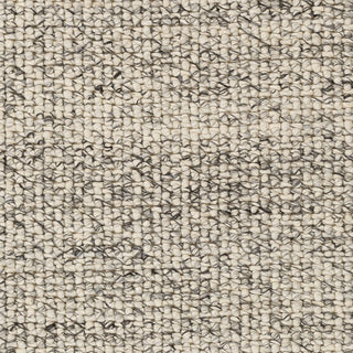 Livabliss Lucerne LNE-1001 Area Rug