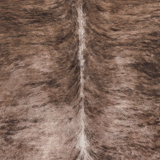 Surya La Pampa LPP-2301 Area Rug