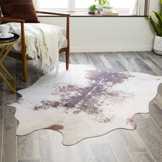 Surya La Pampa LPP-2304 Area Rug Room Scene Feature