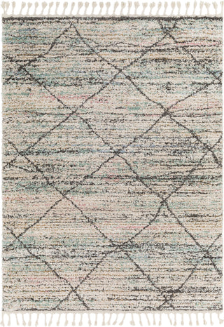 Surya Lisbon LSB-2301 Area Rug main image