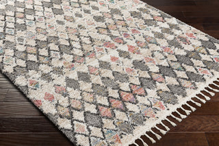 Surya Lisbon LSB-2302 Area Rug Corner Shot