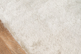 Momeni Luster Shag LS-01 Champagne Area Rug Closeup