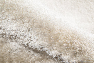 Momeni Luster Shag LS-01 Champagne Area Rug Detail Shot