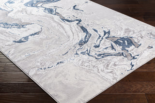 Surya Lustro LSR-2303 Area Rug by Artistic Weavers Corner On wood