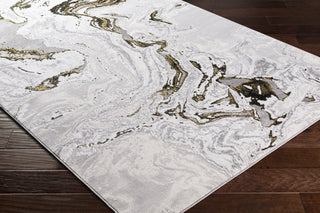 Surya Lustro LSR-2305 Area Rug by Artistic Weavers Corner On Wood