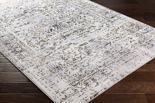 Surya Lustro LSR-2308 Area Rug by Artistic Weavers Corner On Wood