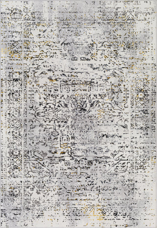 Surya Lustro LSR-2308 Area Rug by Artistic Weavers Main Image 