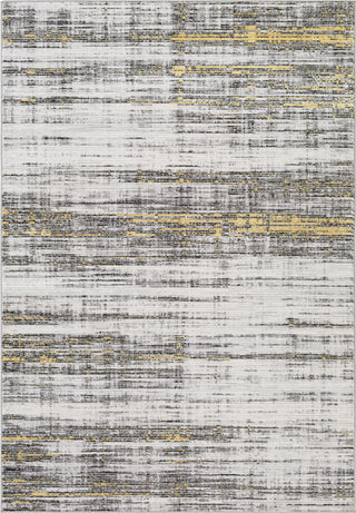 Surya Lustro LSR-2314 Area Rug by Artistic Weavers Main Image 