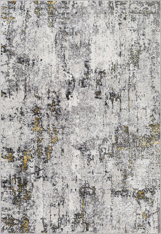 Surya Lustro LSR-2317 Area Rug by Artistic Weavers Main Image 