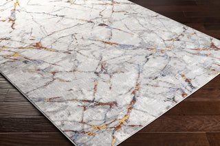 Surya Lustro LSR-2321 Area Rug Corner On Wood Featured